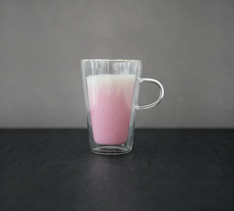 Verres Double Paroi BODUM - Canteen 2x40cl (avec Anse) 4 Verres Double Paroi BODUM - Canteen 2x40cl (avec Anse) – Image 2