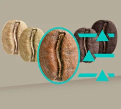 SIEMENS EQ.900 TQ905R03 Inox Garantie 3 Ans 17 SIEMENS EQ.900 TQ905R03 Inox Garantie 3 Ans -Meilleur Café Machines Magasin 8siemenseq900inox