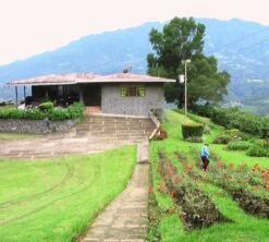 4x250g Café En Grain Bio La Esperanza - Cafés Lugat -Meilleur Café Machines Magasin cafe grains esperanza colombie 3