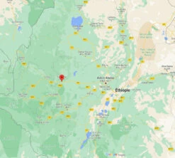 4x250g Café En Grain Bio - Ethiopie Moka Nekemte - CAFES LUGAT 7 4x250g Café En Grain Bio - Ethiopie Moka Nekemte - CAFES LUGAT -Meilleur Café Machines Magasin cafeengraincafeslugatethiopie