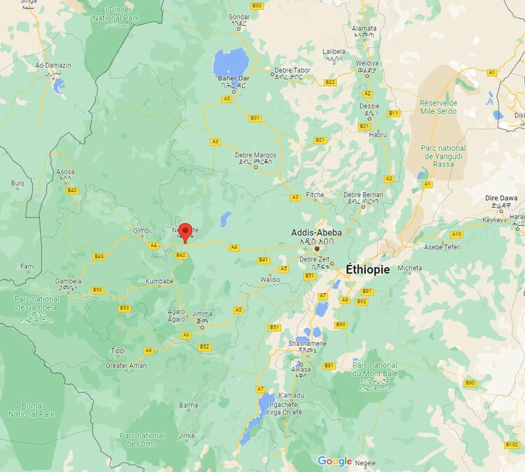 4x250g Café En Grain Bio - Ethiopie Moka Nekemte - CAFES LUGAT 5 4x250g Café En Grain Bio - Ethiopie Moka Nekemte - CAFES LUGAT – Image 3