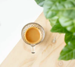 4x250g Café En Grain Bio Finca Oasis - Cafés Lugat -Meilleur Café Machines Magasin cafeengraincafeslugatexpresso