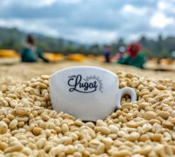 1 Kg Café En Grain Le Dark'n Sweet - Cafés Lugat 7 1 Kg Café En Grain Le Dark'n Sweet - Cafés Lugat -Meilleur Café Machines Magasin cafeengraincafeslugatmarque