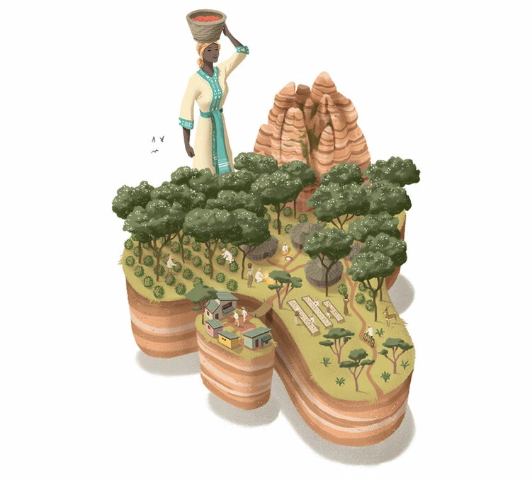 250 G- Café En Grain Dambi Uddo - LE PIANTAGIONI DEL CAFFE 4 250 G- Café En Grain Dambi Uddo - LE PIANTAGIONI DEL CAFFE – Image 2