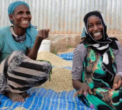 250 G- Café En Grain Dambi Uddo - LE PIANTAGIONI DEL CAFFE 13 250 G- Café En Grain Dambi Uddo - LE PIANTAGIONI DEL CAFFE -Meilleur Café Machines Magasin cafeengrainlpdcdambiuddo1