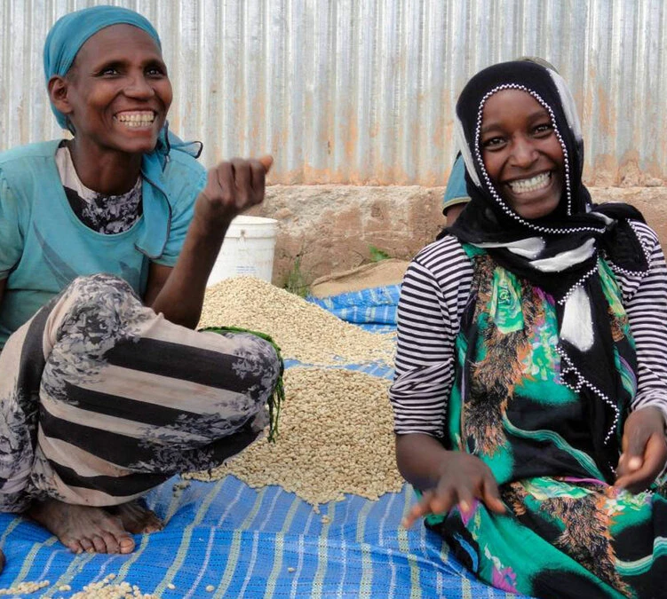 250 G- Café En Grain Dambi Uddo - LE PIANTAGIONI DEL CAFFE 8 250 G- Café En Grain Dambi Uddo - LE PIANTAGIONI DEL CAFFE – Image 6