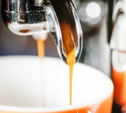 1 Kg Café En Grain Purissima - Perléo Espresso -Meilleur Café Machines Magasin cafeengrainperleoespressopurissimaextraction