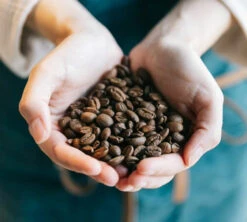 Café En Grains Cinquantenario Zicaffè 1kg -Meilleur Café Machines Magasin lifestyle grain 3