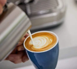 Machine Expresso SAGE Barista Express SES875BSS2EEU1A Inox Brossé -Meilleur Café Machines Magasin sage barista express 4