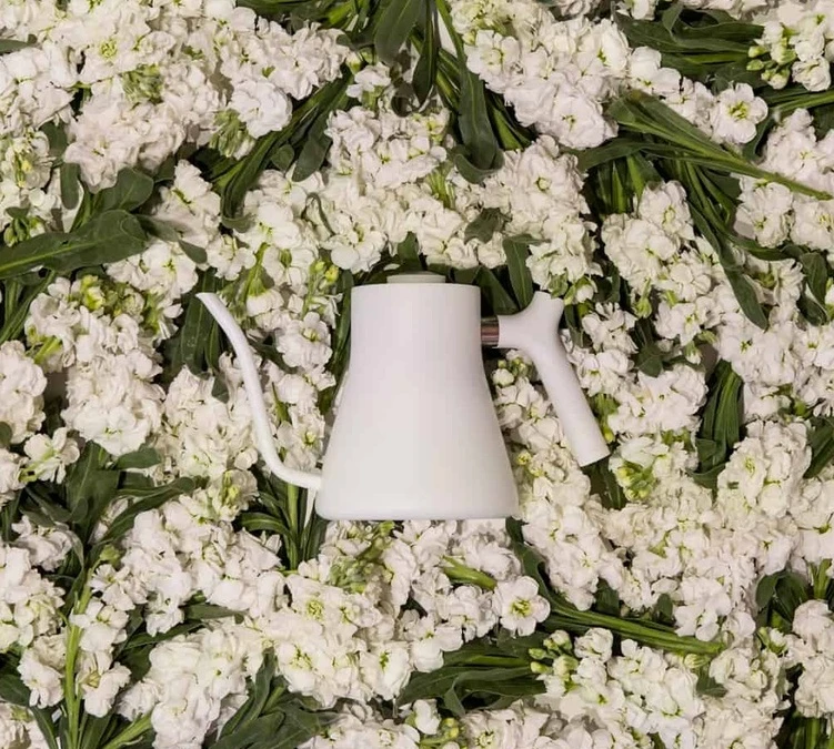 Bouilloire Traditionnelle Stagg Blanc 1 L Col De Cygne - FELLOW 4 Bouilloire Traditionnelle Stagg Blanc 1 L Col De Cygne - FELLOW – Image 2